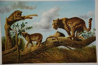 unknow artist Lions 030 oil painting picture